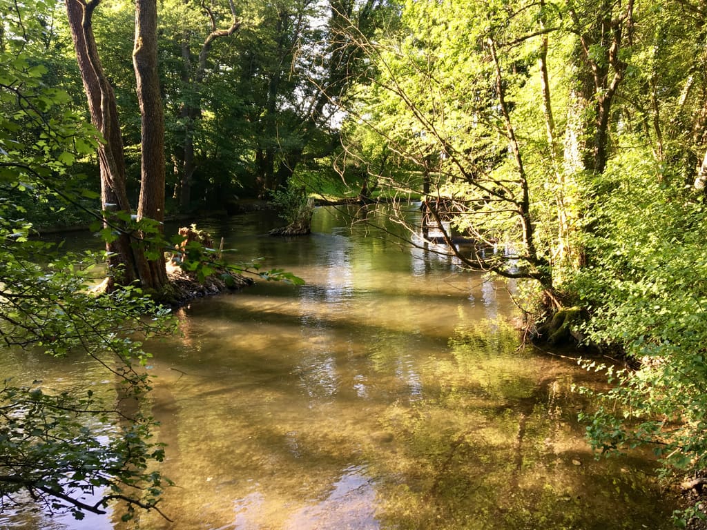 Die Würm bei Stockdorf im Abendlicht, Bäume spiegeln sich im Wasser